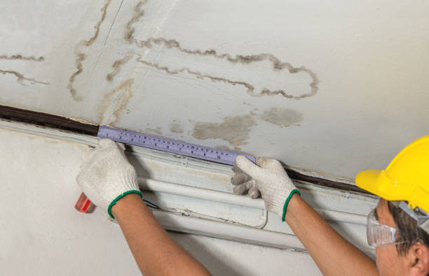 Reliable Basement Water Removal contractor in Murfreesboro, NC by Water Damage Irwin